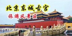 天天操日日夜在线影院中国北京-东城古宫旅游风景区